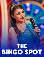 The Bingo Spot · Pragmatic Play